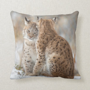 Lynx love cushion