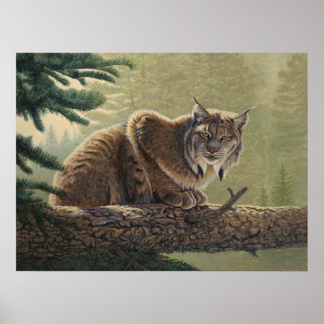 Lynx Painting - Poster (Front)