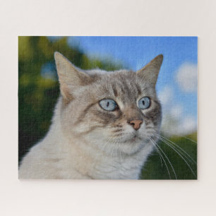Lynx Point Cat with Blue Eyes Jigsaw Puzzle