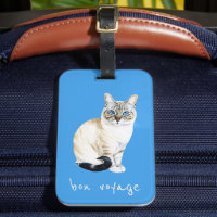 Lynx Point Siamese Cat
