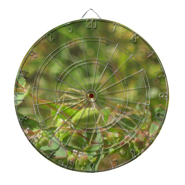 Lynx Spider Dartboard (Front)