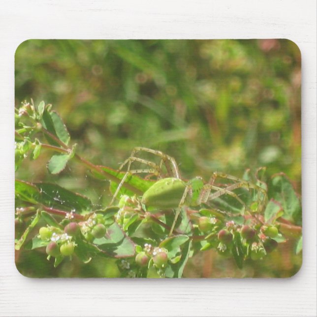 Lynx Spider Mouse Pad (Front)