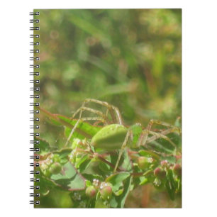 Lynx Spider Notebook