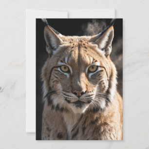 Lynx Wild Animal Elegant Dramatic Mist Portrait Announcement
