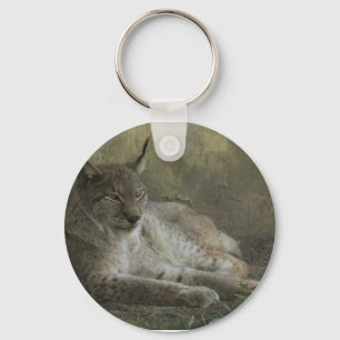 Lynx wild animal from north america key ring