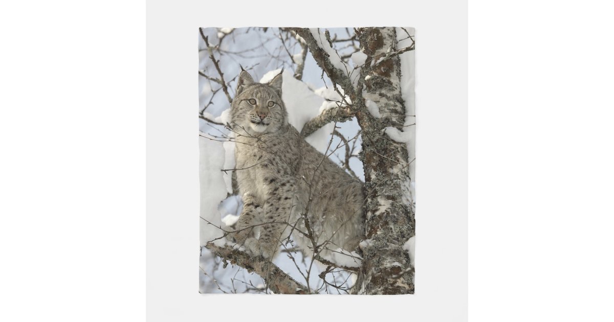 Lynx Wild Cat Fleece Blanket Zazzle