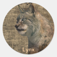 Lynx Wild Cat Wild Animal Stickers