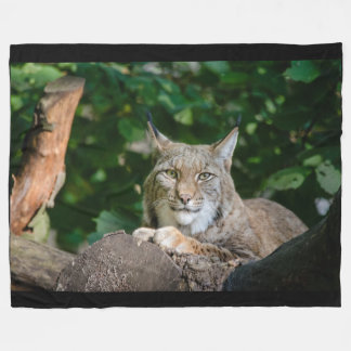 Lynx Wildcat on Fleece Blanket