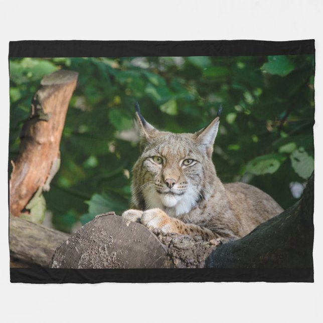 Lynx Wildcat on Fleece Blanket (Front (Horizontal))