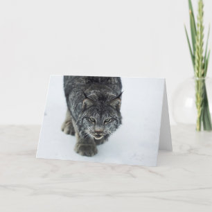 Lynx Winter Holiday Card