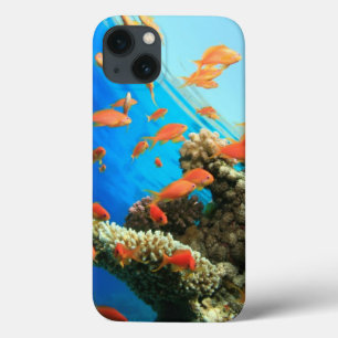 Lyretail anthias on coral reef iPhone 13 case
