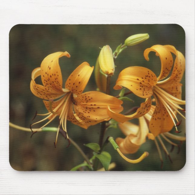 Lys Mouse Pad (Front)