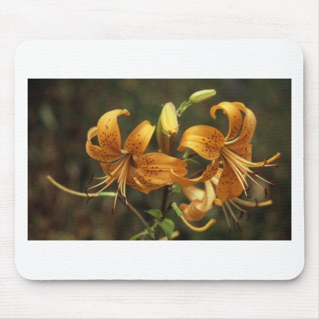 lys mouse pad (Front)