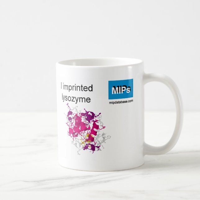 lysozyme template mug (Right)