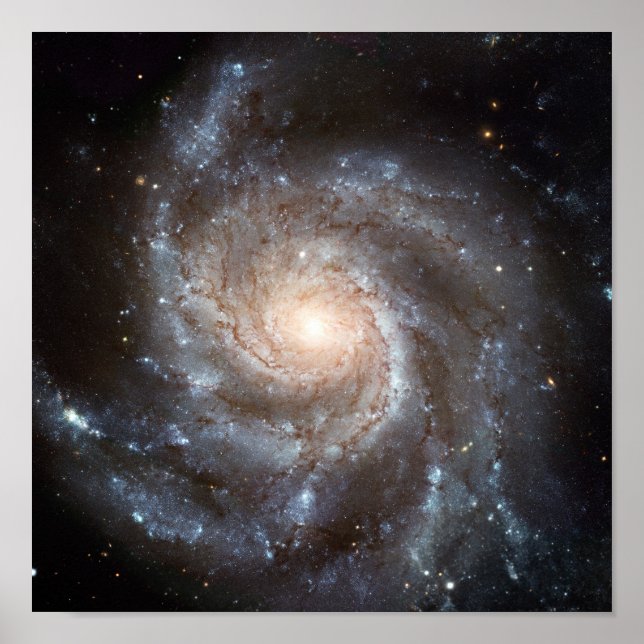 M101 Galaxy Poster (Front)