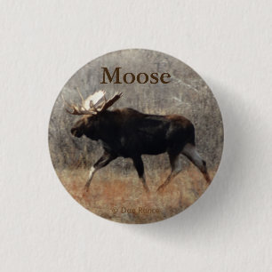 M10 Bull Moose 3 Cm Round Badge