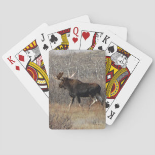 M10 Bull Moose in the Brush Playing Cards