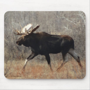 M10 Bull Moose Mouse Pad