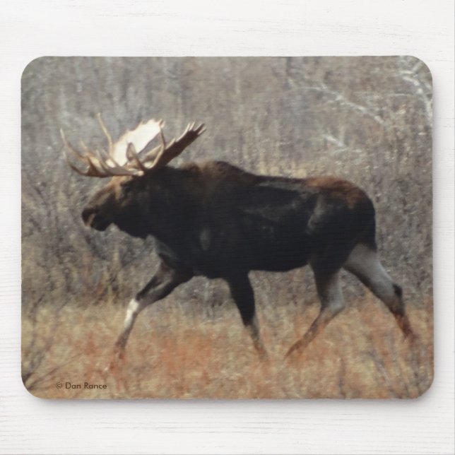 M10 Bull Moose Mouse Pad (Front)