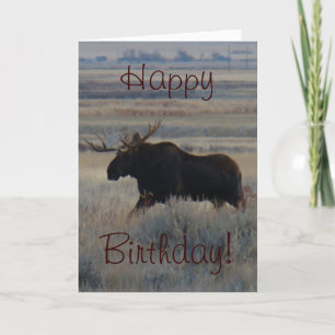M2 Bull Moose Card