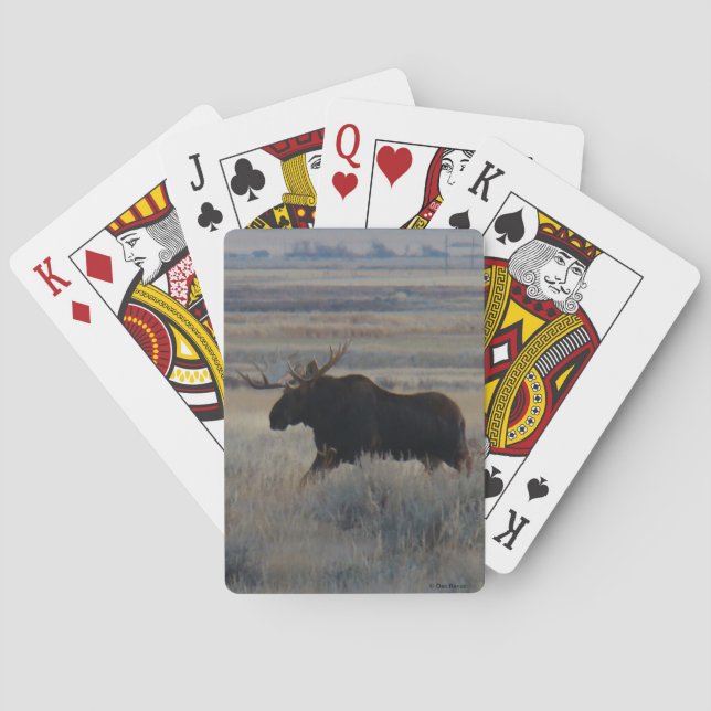 M2 Bull Moose Playing Cards (Back)