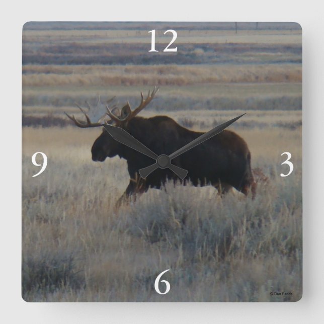 M2 Bull Moose Square Wall Clock (Front)