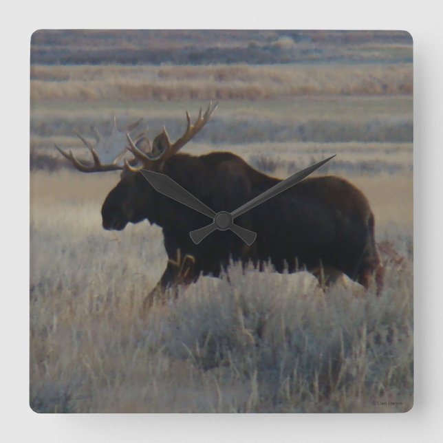 M2 Bull Moose Square Wall Clock (Front)