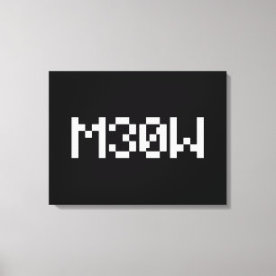 M30W [Leetspeak Animal Sounds] Canvas Print