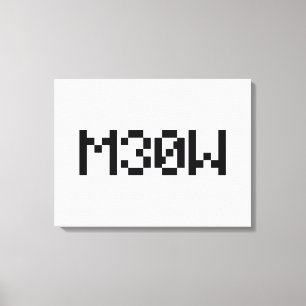 M30W [Leetspeak Animal Sounds] Canvas Print
