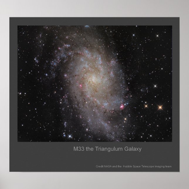 M33 The Triangulum Galaxy Poster (Front)