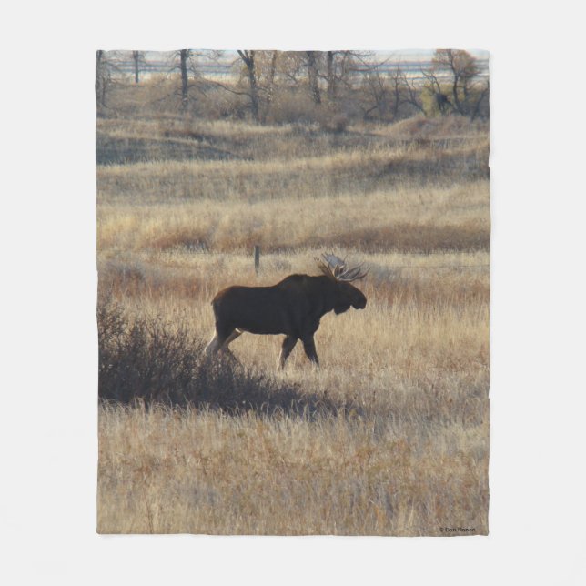 M5 Bull Moose and Sand Hills Fleece Blanket (Front)
