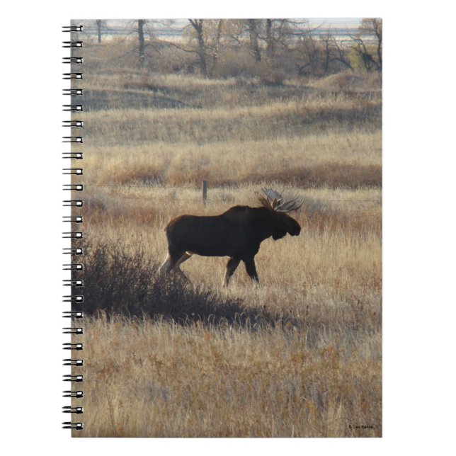 M5 Bull Moose and Sand Hills Notebook (Front)