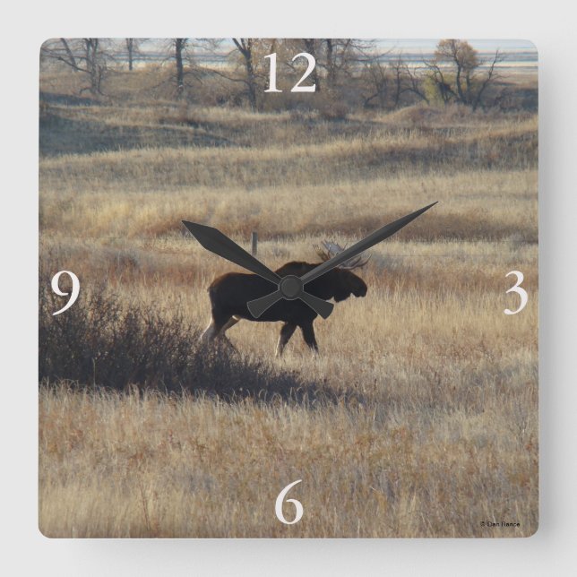 M5 Bull Moose and Sand Hills Square Wall Clock (Front)