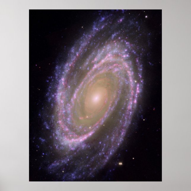 M81 Galaxy Poster (Front)