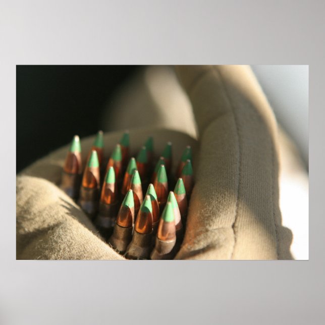 M855 5.56 mm ball rounds poster (Front)