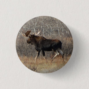 M8 Bull Moose 3 Cm Round Badge