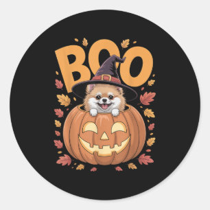 M Costume On Pumpkin Halloween Meranian Classic Round Sticker