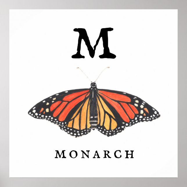 "M" for Monarch Print, Value Poster Paper (Matte) (Front)