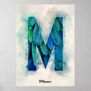 M is For Macaw Poster