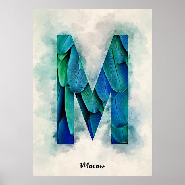 M is For Macaw Poster (Front)