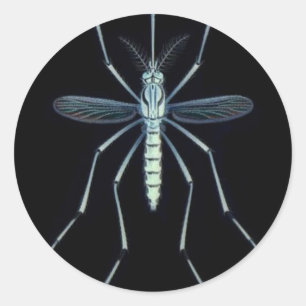 M POWER, CLASSIC ROUND STICKER