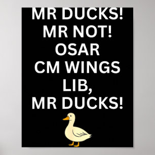 M R Ducks M R Not O S M R Cm Wangs Lib M R Ducks  Poster