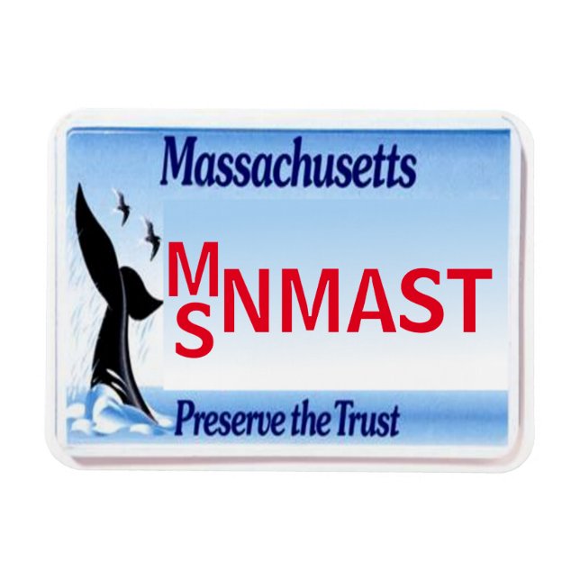 MA License Plate Magnet (Horizontal)