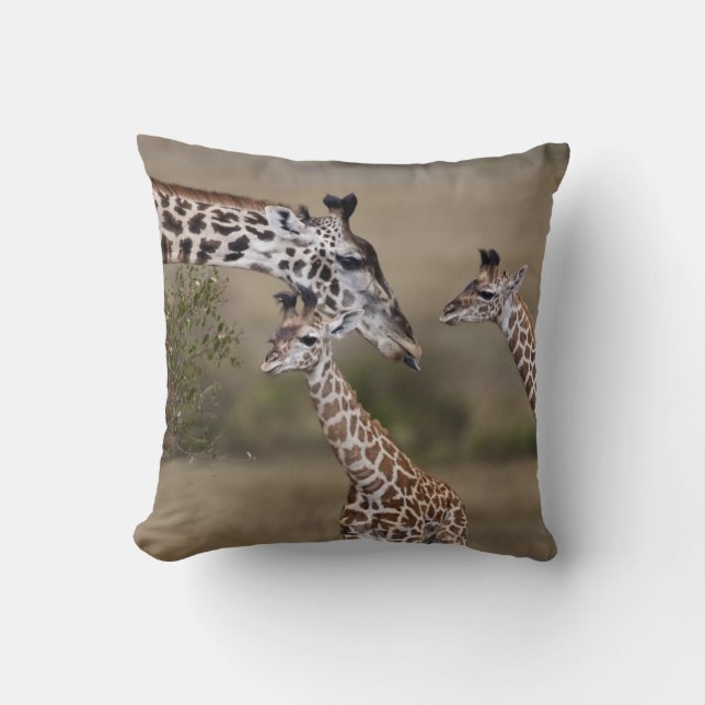 Maasai Giraffe (Giraffe Tippelskirchi) Cushion (Front)