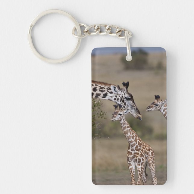 Maasai Giraffe (Giraffe Tippelskirchi) Key Ring (Front)