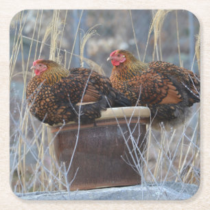 Mable and Harriet Chicken Party Coasters