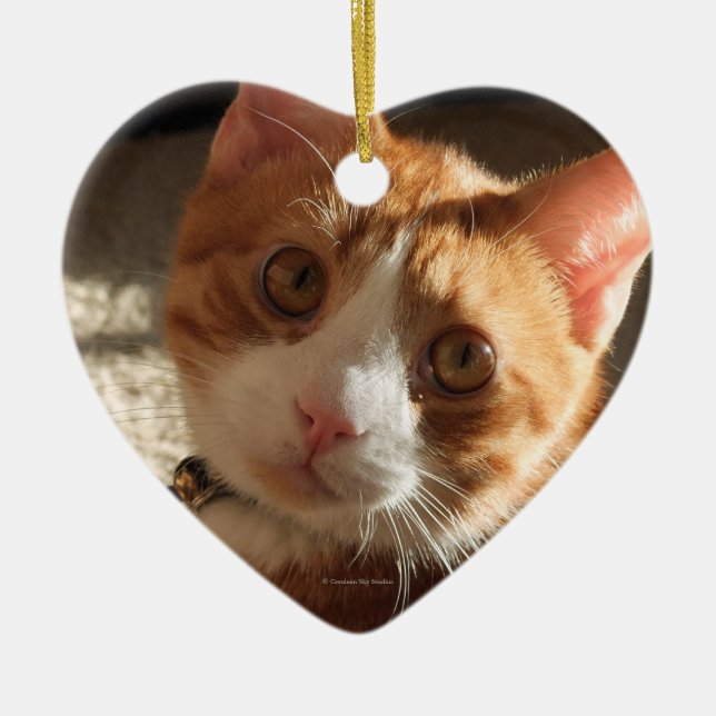 Mac Cat Photo Heart Ornament (Front)