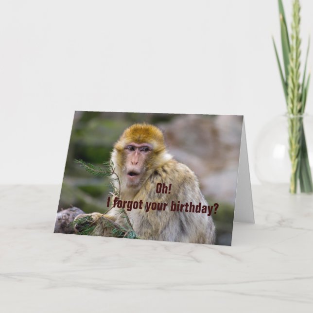 Macaca sylvanus card (Front)