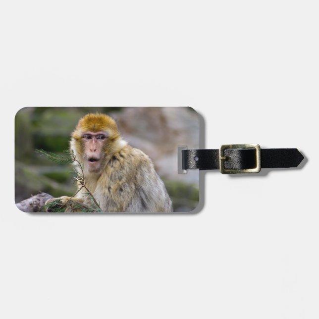 Macaca sylvanus luggage tag (Front Horizontal)