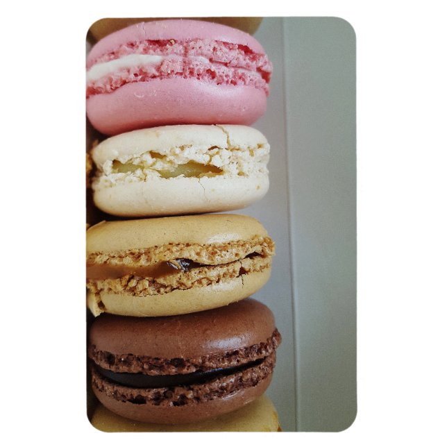 Macaron Magnet (Vertical)